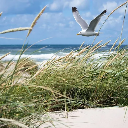 Apartamento In Duinbergen With Side Sea View *